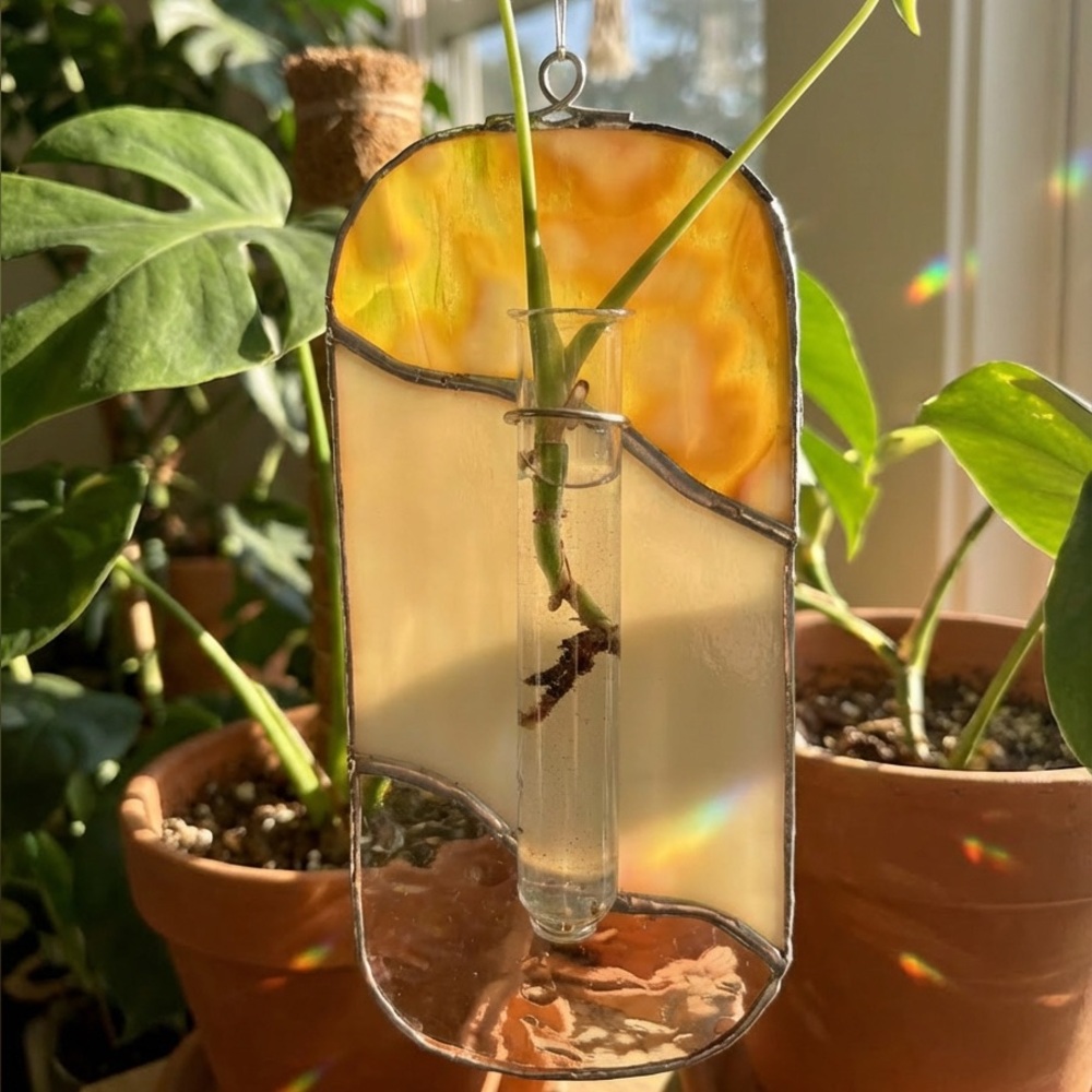 Stained Glass Plant Propagation Station